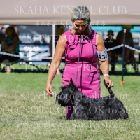 _KC_2717 (2)